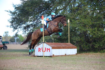 Team-Have-At-It-Ocala-Horse-Trials-Winter-II-Update