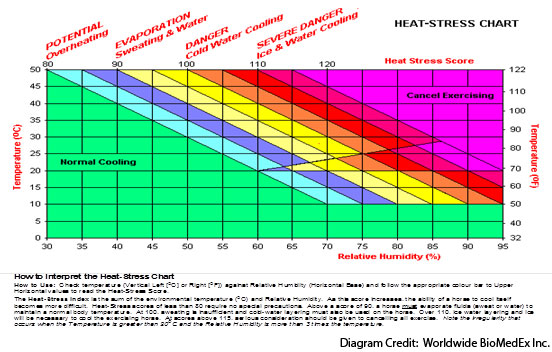 Developing-the-Sport-Horse-Part-2-the-Importance-of-Hydration