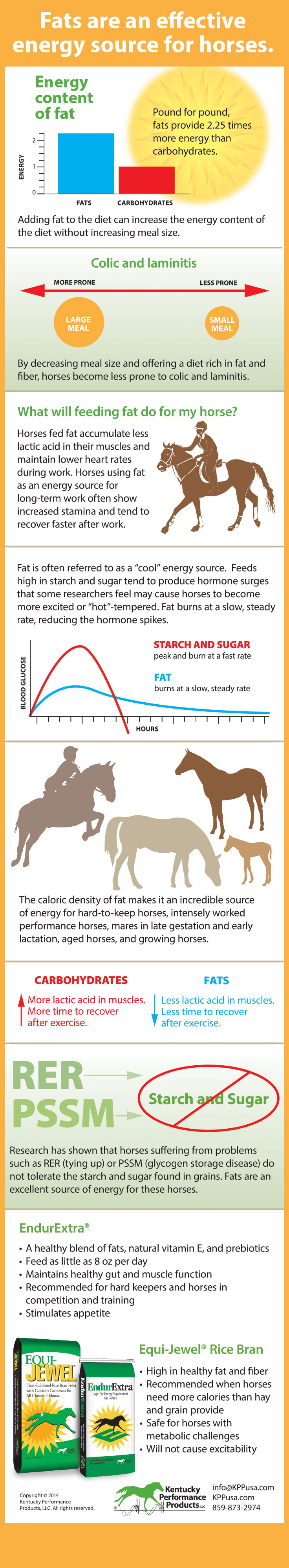 Fats-are-an-effective-energy-source-for-horses-14-222