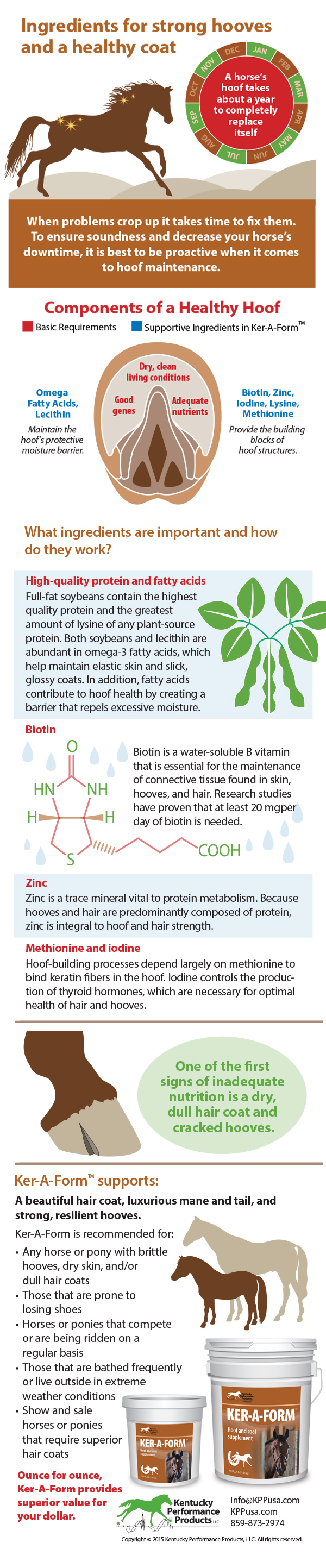 Ingredients-for-strong-hooves-and-a-healthy-coat-15-124