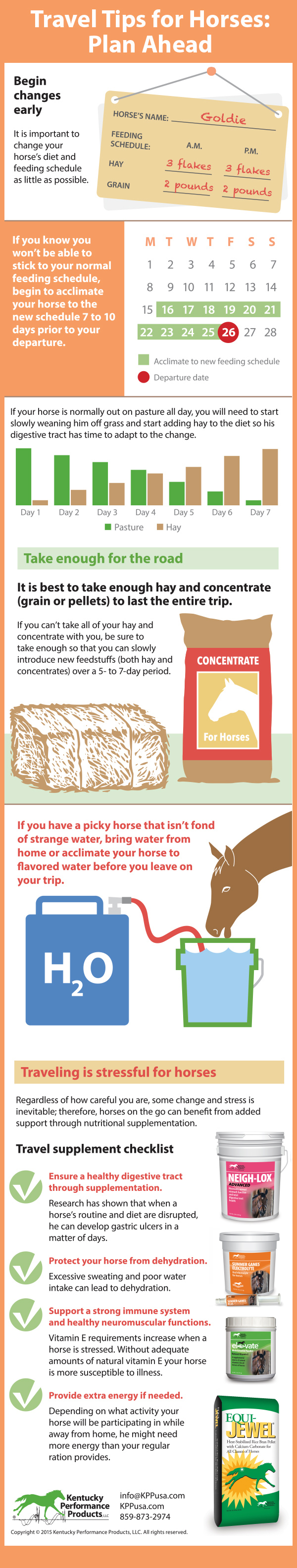 Travel-Tips-for-Horses-Part-1-Plan-Ahead-15-174