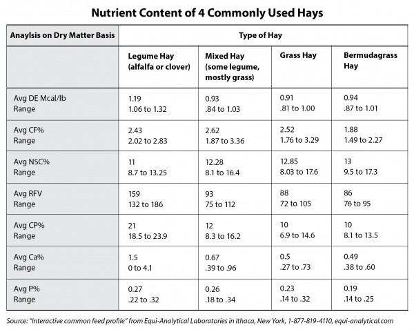 Common-Hay-A-Quick-Comparison2