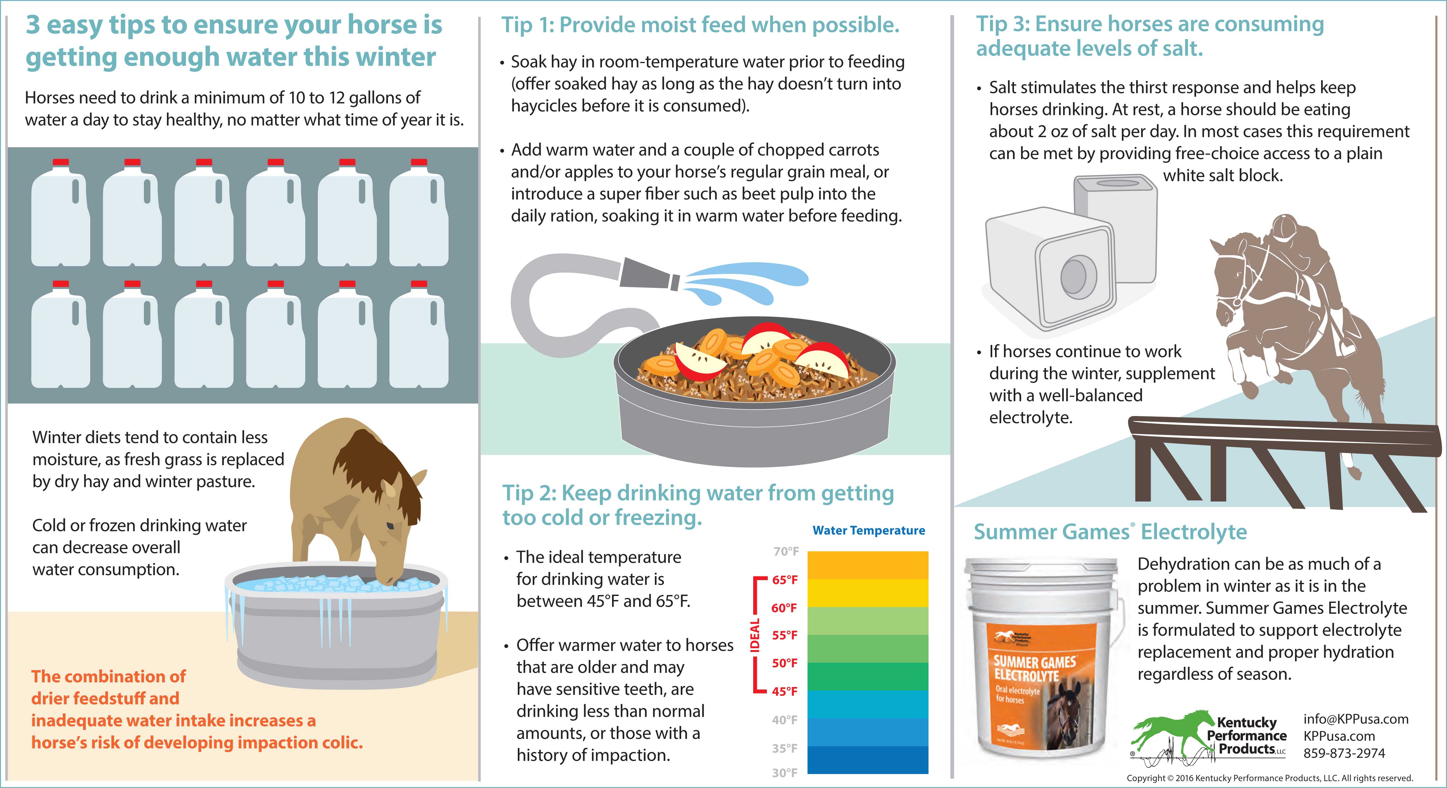 3-easy-tips-to-ensure-your-horse-is-getting-enough-water-this-winter-16-104dl