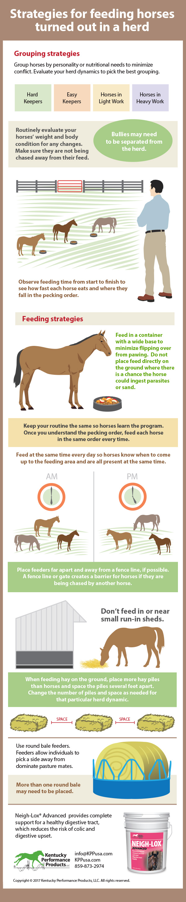 Strategies-for-feeding-horses-turned-out-in-a-herd-17-154