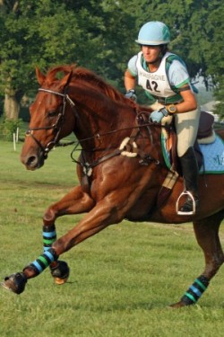 equine-horse-supplements-eventing