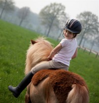 equine-horse-supplements-pony1