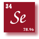 equine-horse-supplements-selenium