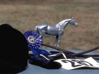 equine-horse-supplements-trophey