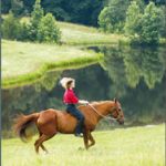 cool-energy-equi-jewel-customer-review2
