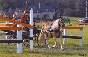 Anne and her horse Whelm negotiate an obstacle with the help of navigator Suzanne Brown.