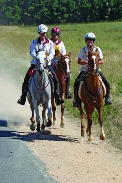 equine-horse-supplements-endurance