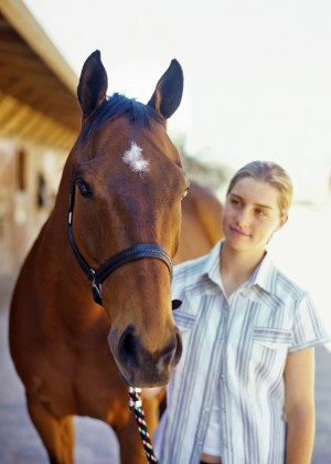 equine-horse-supplements-headshot8