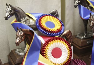equine-horse-supplements-ribbon