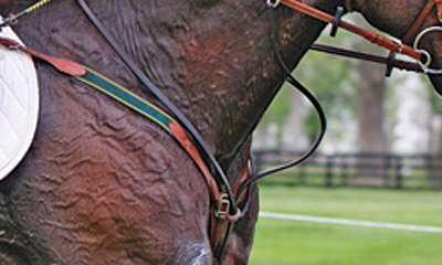equine-horse-supplements-sweaty-horse