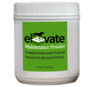 immune-antioxidants-muscle-elevatemp