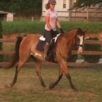 kentucky-performance-products-jessica-fuller-stewart