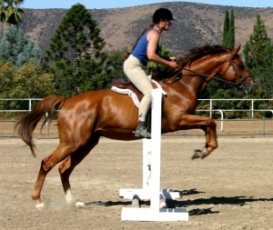 kentucky-performance-products-karina-benish