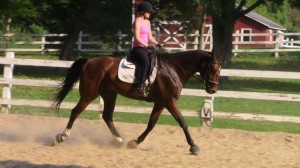 kentucky-performance-products -lisa-byk-6