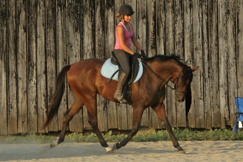 kentucky-performance-products-megan-lynn