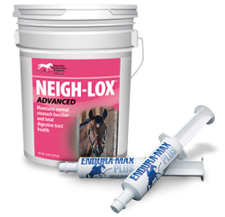 neigh-lox-advanced-endura-max-plus-kentucky-performance-products