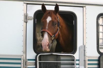 equine-horse-supplements-kentucky-performance-products-trailer
