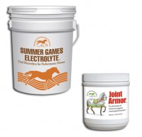 electrolytes-summer-games-joint-armor2