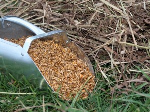 equine-horse-supplements-kentucky-performance-products-feeds