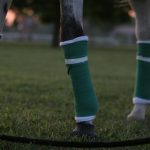 equine-horse-supplements-kentucky-performance-products (171)