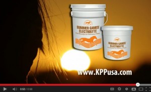 summer-games-electrolyte-horse-supplement