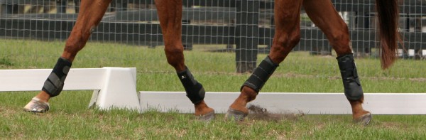 kentucky-peformance-products-joint-armor-horse-supplements