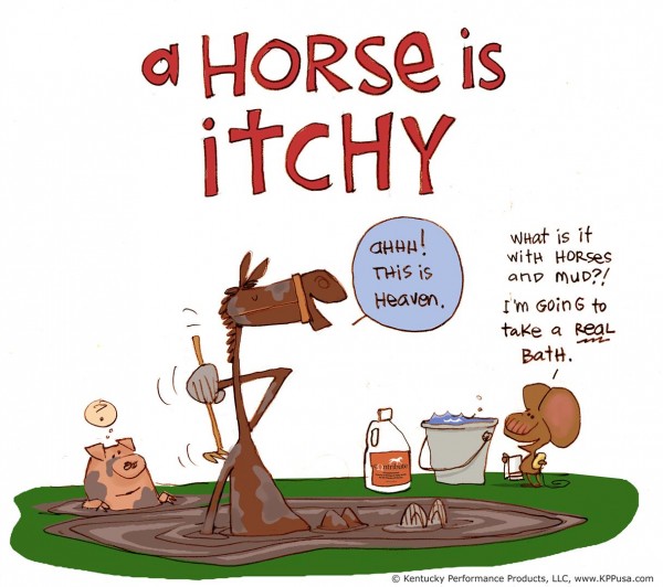kentucky-performance-products-a-horse-is-itchy