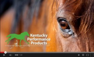 kentucky-performance-products-equi-jewel