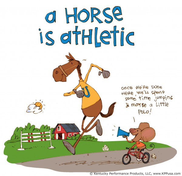 Kentucky-Performance-Products-a-horse-is-athletic