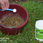 Eventing-Nation-Elevate-Natural-Vitamin-E