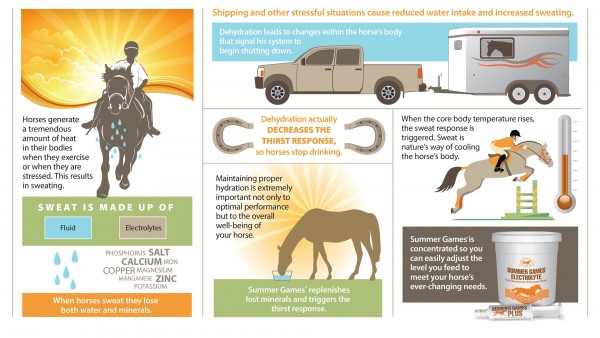 Summer-Games-Electrolyte-Kentucky-Performance-Products-Equine-Horse-Supplements (Large)