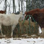equine-horse-supplements-kentucky-performance-products (48)