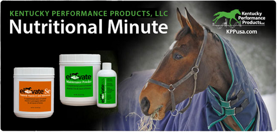 Kentucky-Performance-Products-Nov-Vitamin-E-Nut-Min