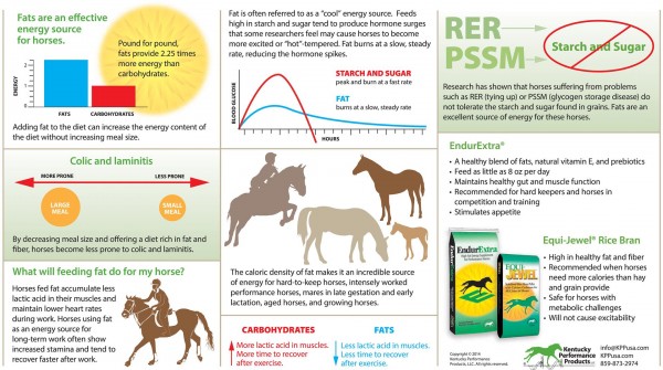 14-222 Fats are and effective energy source for horses (Large)