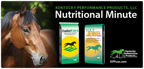 Kentucky-Performance-Products-Dec-Fat-Nut-Min
