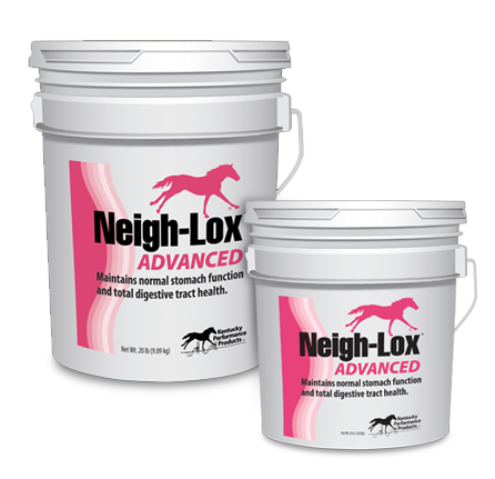 neigh-lox-advanced-equine-horse-ulcers