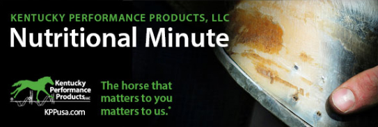 March Nutritional Minute