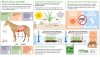 15-140 16x9 What is Fructan Overload (Large)