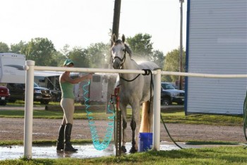 equine-horse-supplements-kentucky-performance-products (158)