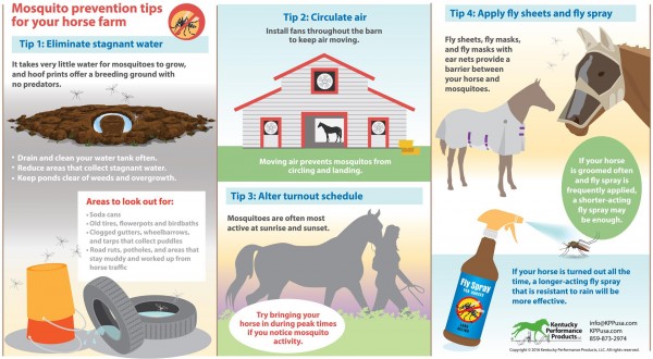 16-186 Mosquito prevention tips for your farm2 (Large)