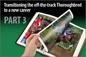Transitioning the off-the-track Thoroughbred to a new career Part-3