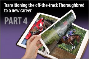 Transitioning the off-the-track Thoroughbred to a new career Part-4