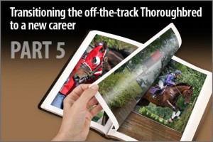 Transitioning the off-the-track Thoroughbred to a new career Part-5
