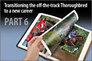 Transitioning the off-the-track Thoroughbred to a new career Part-6