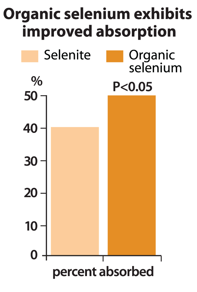 Elevate® Se Antioxidants, Immune, Muscle, Vitamins and Minerals KPP
