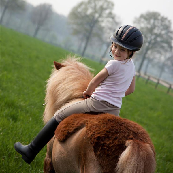 Does Your Horse Need Extra Vitamins? Maybe... KPP